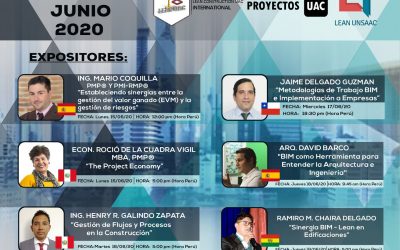 CICLO DE WEBINARS: PMI,LEAN CONSTRUCTION Y BIM